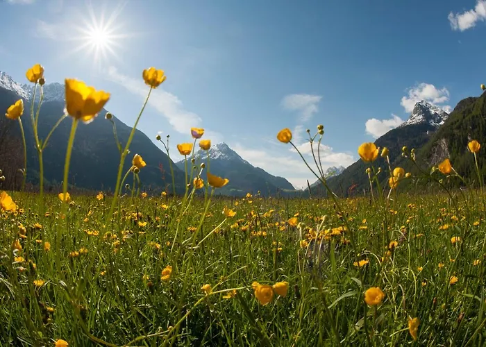 Andre Διαμέρισμα *