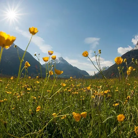 Andre Appartamento *